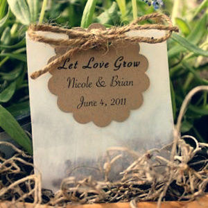 Mini Glassine Envelopes for Wedding Favors/Seeds